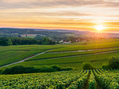 AICVF région Champagne Ardenne